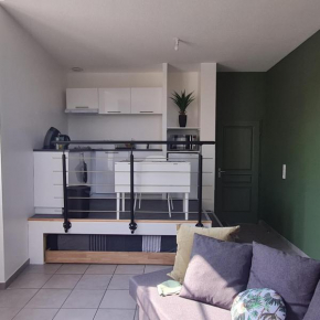 Appartement Dole Grevy
